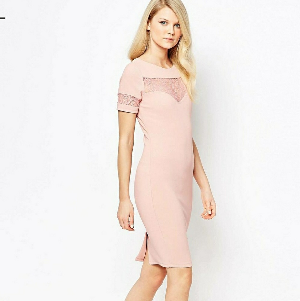 Petite dusty rose lace insert pencil dress